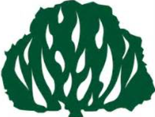 Igreja Presbiteriana Uberaba